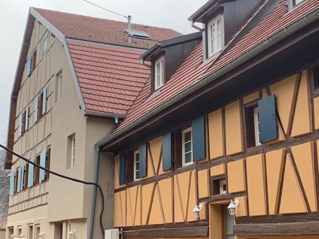Coeur D'Alsace Colmar Vignobles Ouest Avec Terrasses Villa Wintzenheim Dış mekan fotoğraf
