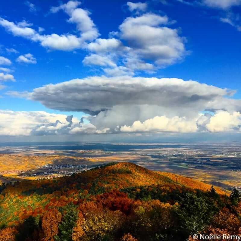 Coeur D'Alsace Colmar Vignobles Ouest Avec Terrasses Villa Wintzenheim Dış mekan fotoğraf