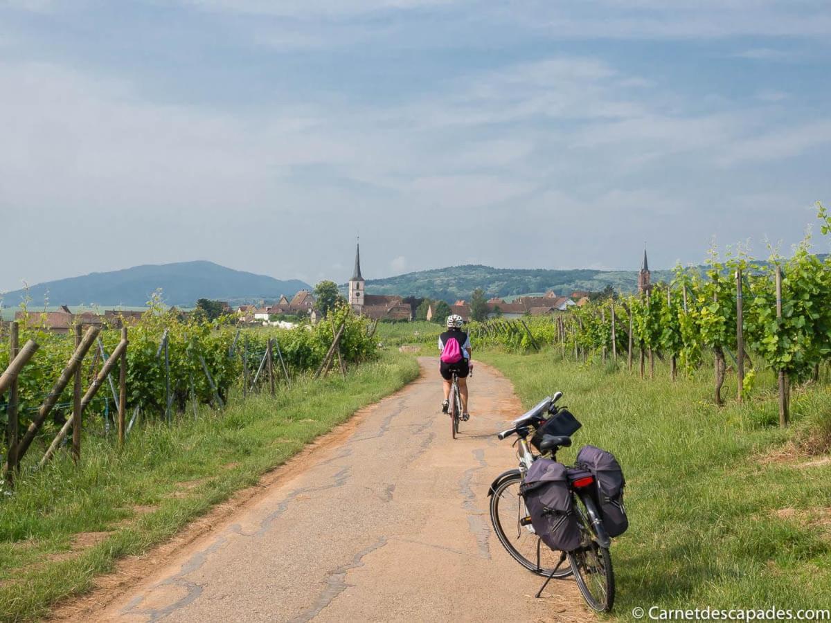 Coeur D'Alsace Colmar Vignobles Ouest Avec Terrasses Villa Wintzenheim Dış mekan fotoğraf