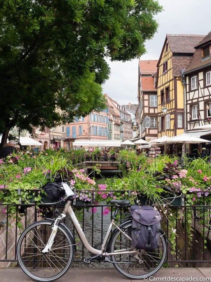 Coeur D'Alsace Colmar Vignobles Ouest Avec Terrasses Villa Wintzenheim Dış mekan fotoğraf