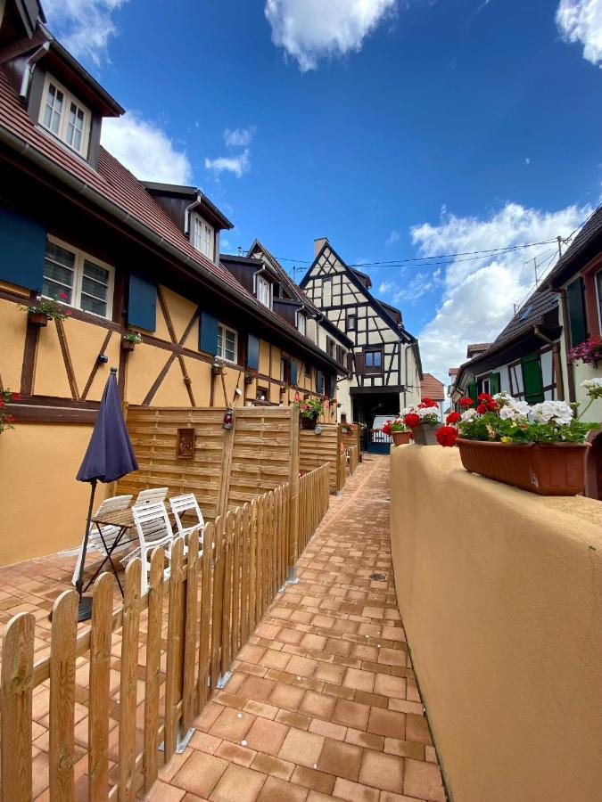 Coeur D'Alsace Colmar Vignobles Ouest Avec Terrasses Villa Wintzenheim Dış mekan fotoğraf