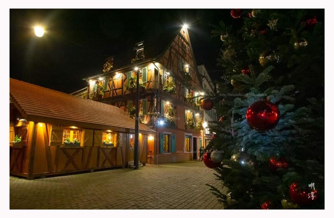 Coeur D'Alsace Colmar Vignobles Ouest Avec Terrasses Villa Wintzenheim Dış mekan fotoğraf