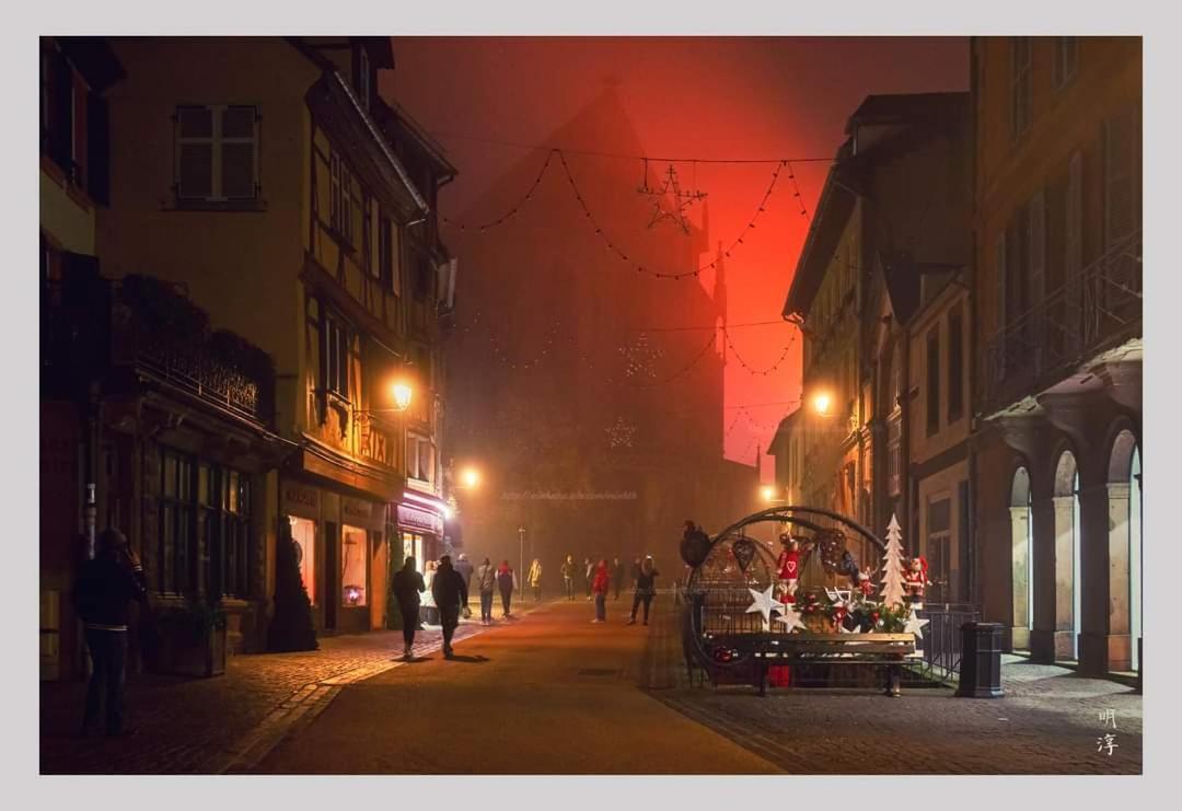 Coeur D'Alsace Colmar Vignobles Ouest Avec Terrasses Villa Wintzenheim Dış mekan fotoğraf