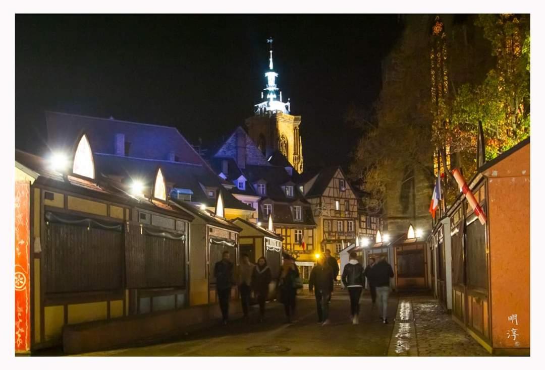Coeur D'Alsace Colmar Vignobles Ouest Avec Terrasses Villa Wintzenheim Dış mekan fotoğraf